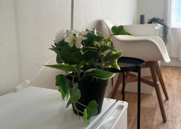 Konukevi The Bloom *