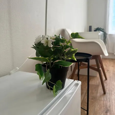 게스트하우스 The Bloom *